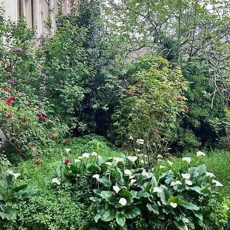 Charming - Near Center, Ac Included *